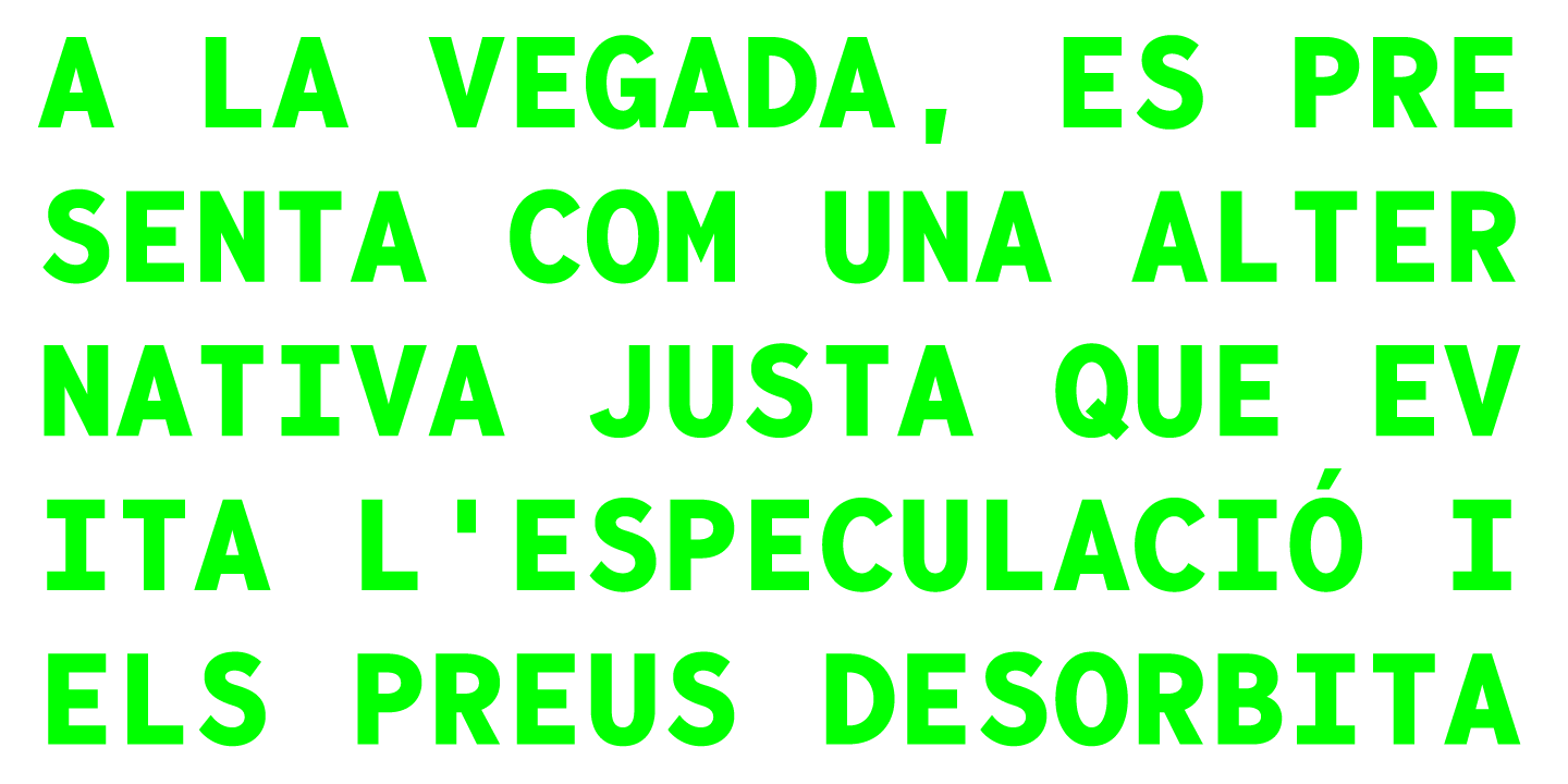 Przykład czcionki Bergen Mono SemiBold Italic
